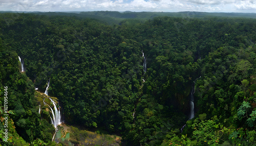 Panoramic View of the Labi Forest Reserve photo