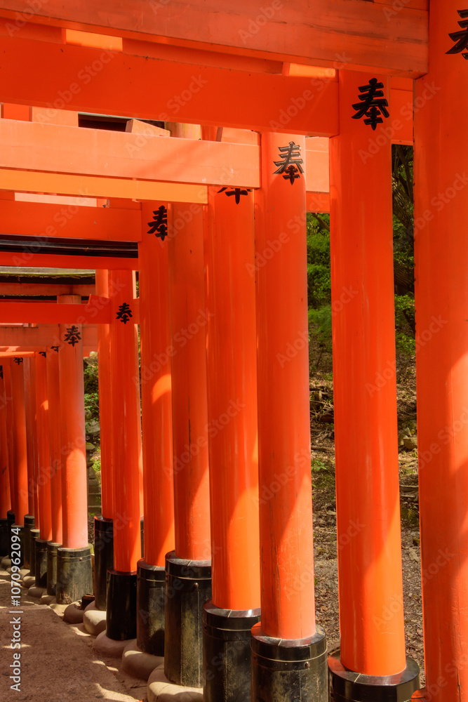A torii is an iconic gate in Japan, marking the entrance to a sacred space, symbolizing the boundary between the sacred and the profane. A torii is an iconic gate in Japan, marking the entrance to a sacred space, symbolizing the boundary between the sacred and the profane.