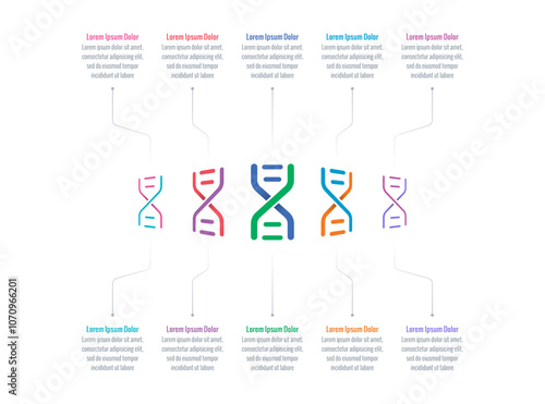 infographic template for annual report, magazine. infographic template for education, business, industry, science world. ten steps information template. colorful dna symbols infographic template