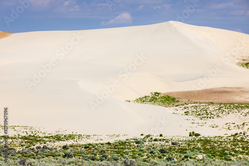 Killpecker Sand Dunes in southwestern Wyoming photo