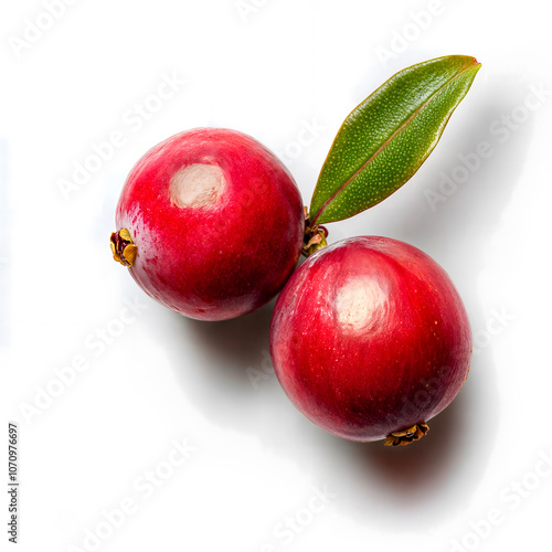 red cranberry fruits