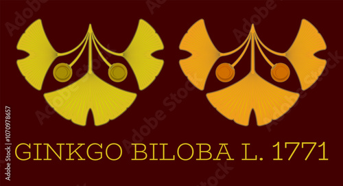 Set of vector illustrations of ginkgo biloba leaf and fruit using the sacred geometry method.
