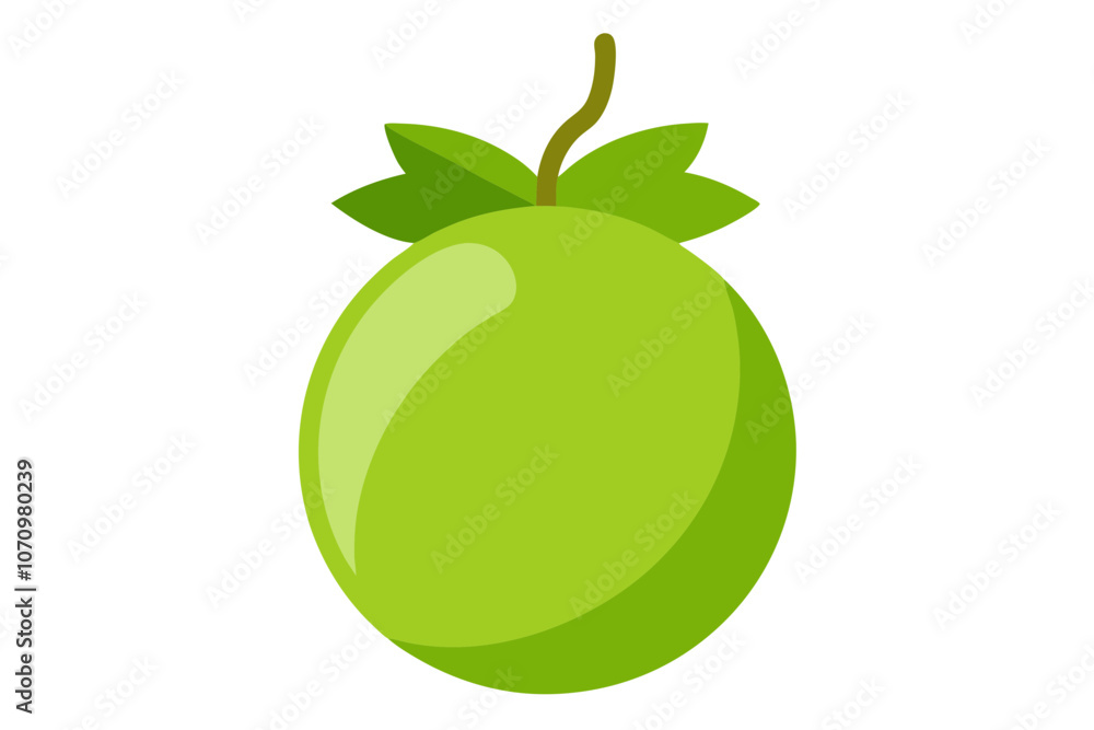 Elegant Gooseberry Vector Illustration for Digital Art Projects Elegant Gooseberry Vector Illustration for Digital Art Projects