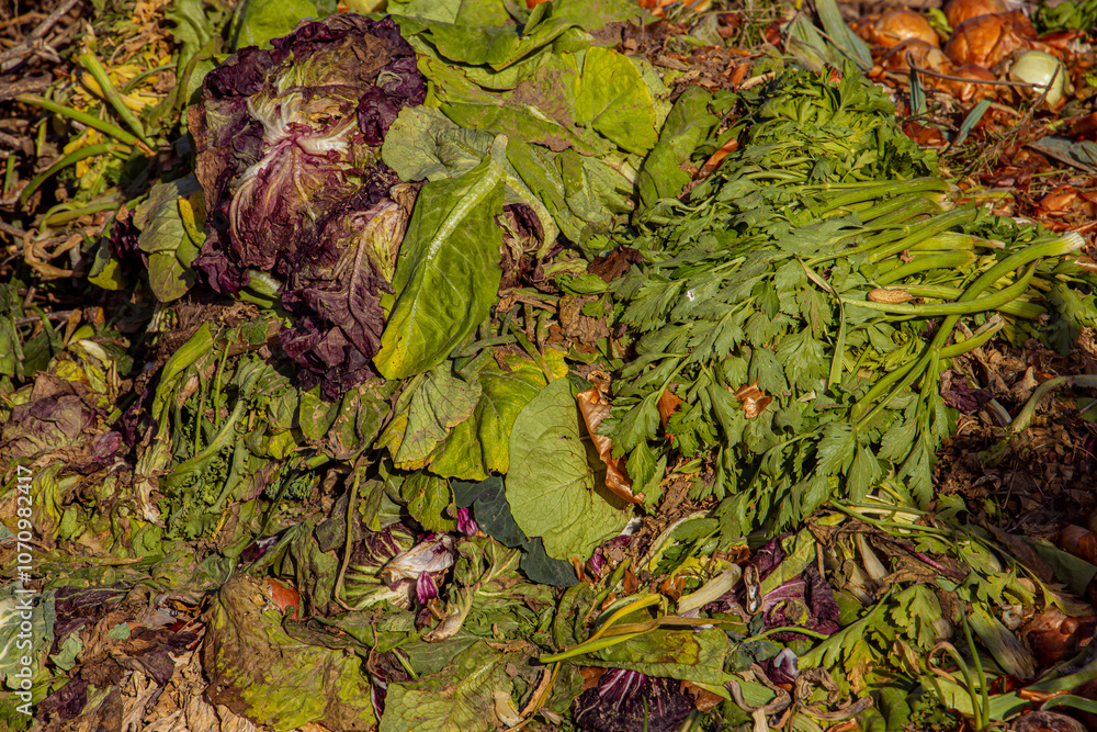 Climate change with natural disasters affecting agriculture on fertile land Climate change with natural disasters affecting agriculture on fertile land
