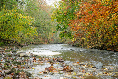 Calm shallow river in Autumn