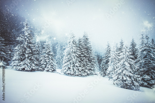  Christmas background with snowy fir trees