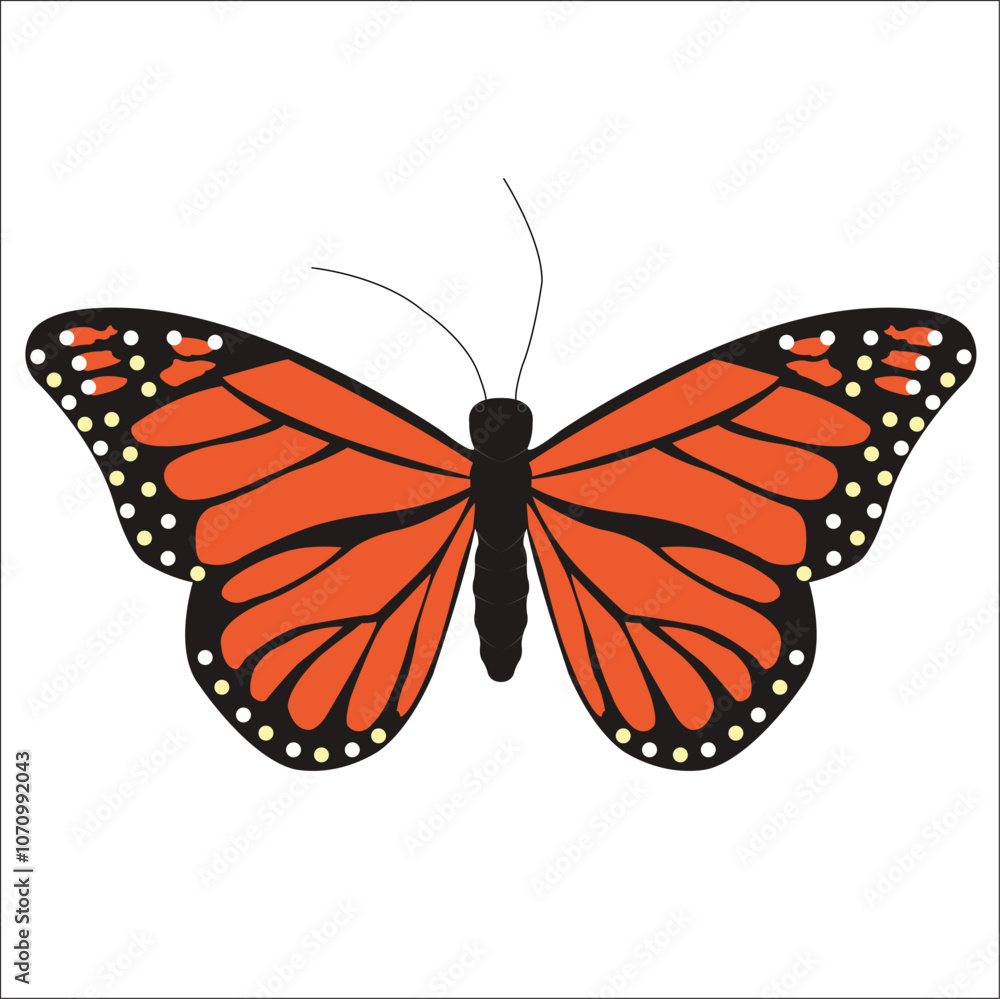 Fototapeta premium Simple butterfly color sketch, elegant lines on a light, textured background, emphasizing the minimalist beauty