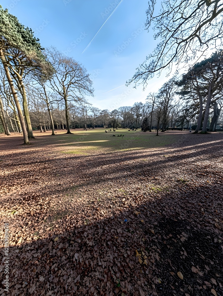 A serene autumn scene featuring a spacious park with bare trees and a carpet of brown leaves, creating a peaceful atmosphere under a clear blue sky. A serene autumn scene featuring a spacious park with bare trees and a carpet of brown leaves, creating a peaceful atmosphere under a clear blue sky.