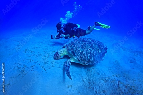 Foto Sea turtle (Chelonia mydas) in the deep ocean and scuba diver videographer