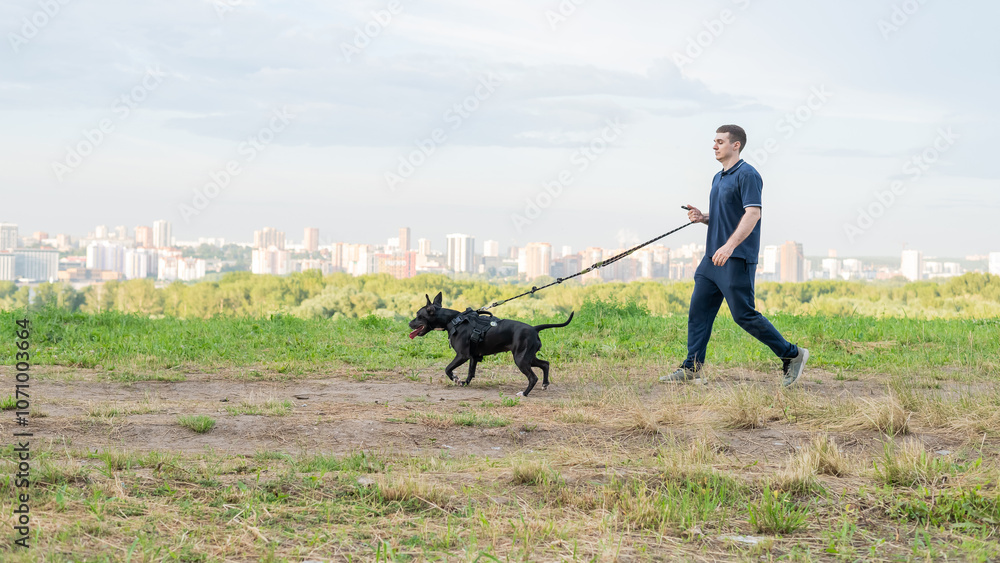Man running with pit bull terrier outdoors. Man running with pit bull terrier outdoors.