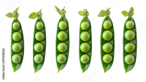 Green bean pod isolated on a white background. PNG transparent.
 photo