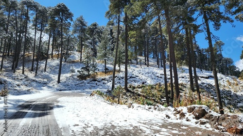 Tablou pe pânză hiking and mountain ecotourism in Toluca
