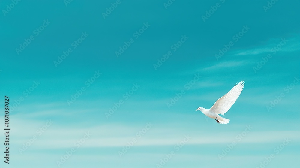 A white bird soaring against a blue sky, surrounded by fluffy white clouds A white bird soaring against a blue sky, surrounded by fluffy white clouds