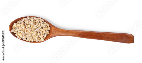 Spoon with pearl barley groats isolated on white, top view