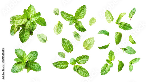 Fresh Mint Leaves Set Isolated on a White Background for Culinary Use Generative AI