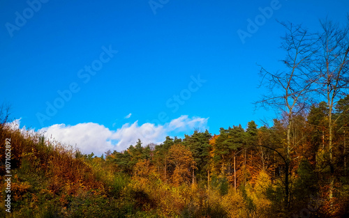 Beautiful Polish golden autumn.