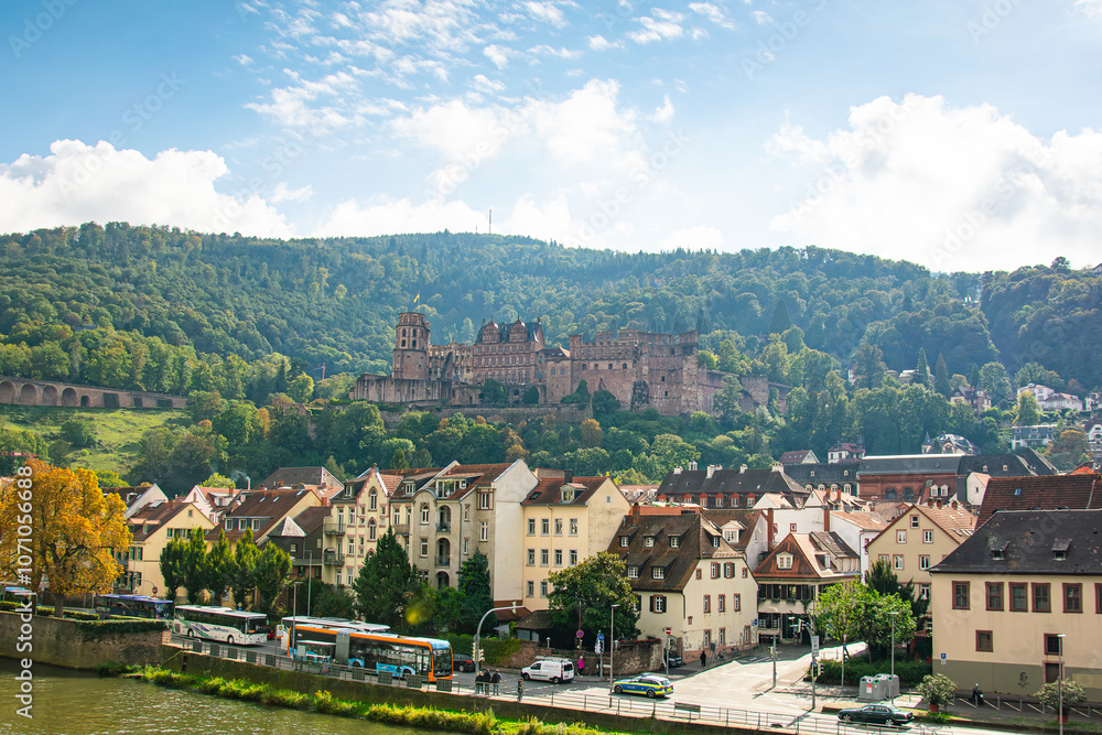 Fototapeta premium Schloss Heidelberg 3