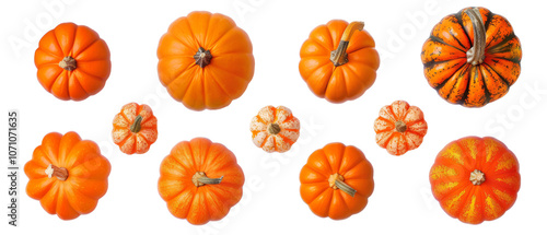 zucchini and pumpkins of various sizes set. Cut out, png, design elements. top view / flat lay.