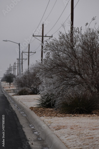 West Texas Winter