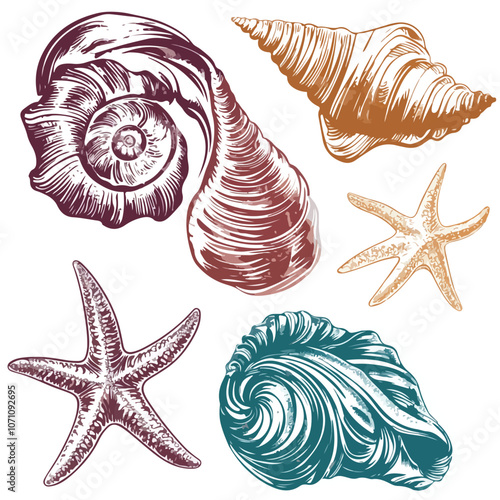 Sea Shell Sink Stencil Stamp Set for Ocean and Exotic Designs