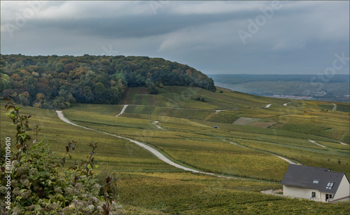 Looking at the vineyards from the Grand Cru commune of Le Mesnil -sur-Oger