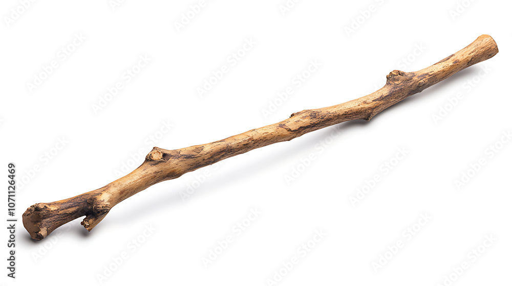 Fototapeta premium wooden stick separated against a white background
