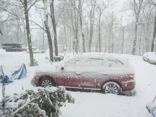 looking through the window during the snowstorm