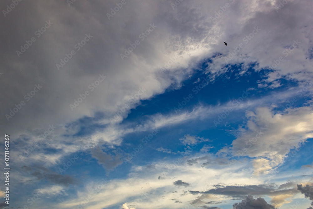 Obraz premium Cloudscape has been developing in gorgeous form. The clouds have been developing in gorgeous form.