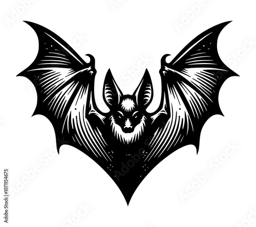 Detailed Bat Vintage Illustration from Front View with Spread Wings SVG Graphic