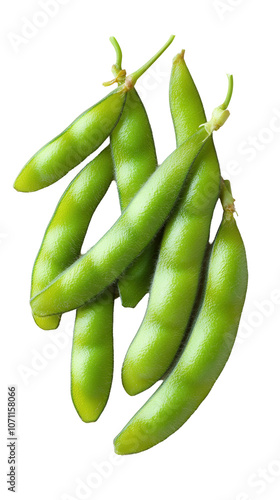 Fresh edamame pods, vibrant green and healthy, isolated on white isolated on a white background, transparent background.