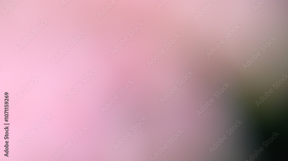 Obraz premium Pink Color Light gradient Background Design