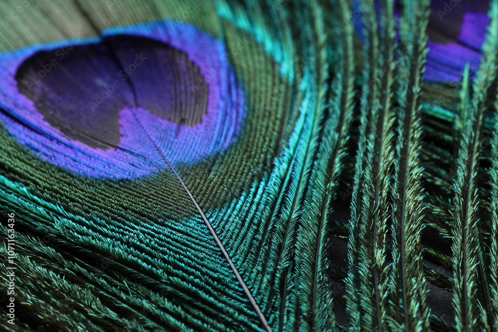Naklejka premium Beautiful bright peacock feather as background, macro view