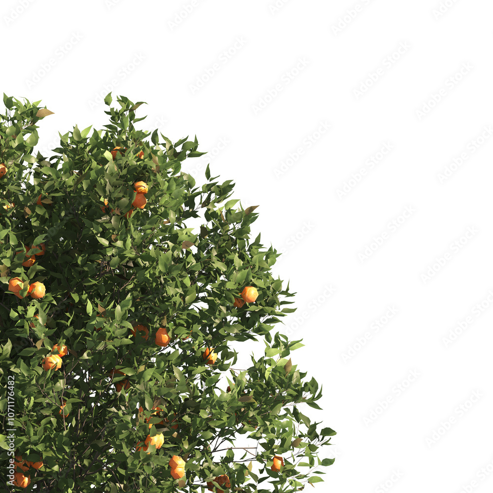 Green tree branch isolated on transparent background. Orange tree branch isolated on transparent background. Corner tree isolated on transparent background. Green leaves for corner png. Green tree branch isolated on transparent background. Orange tree branch isolated on transparent background. Corner tree isolated on transparent background. Green leaves for corner png.