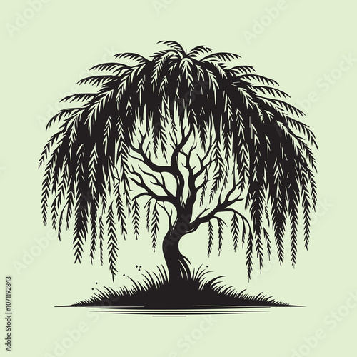 Graceful Weeping Willow Tree silhouette vector icon black and white