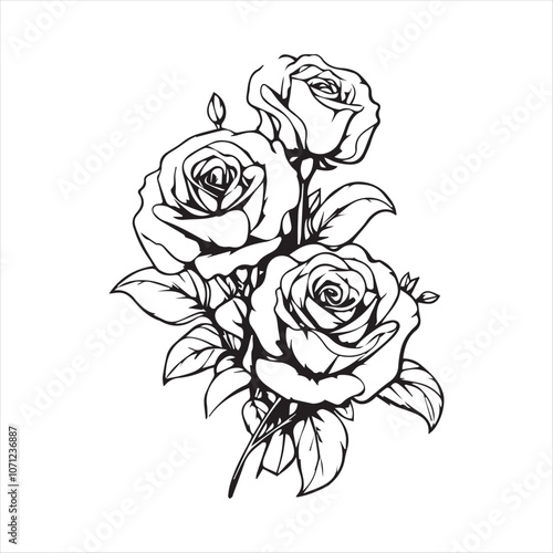 Wallpaper Mural Easy lily flower drawing pencil art vector  Torontodigital.ca