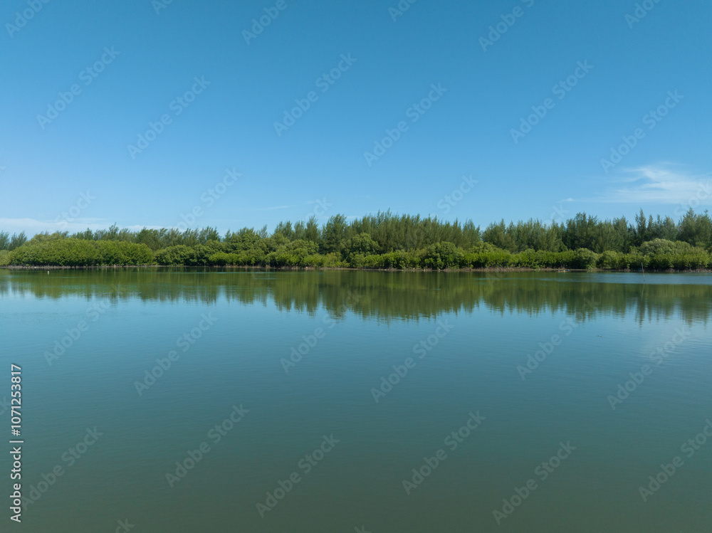 View of the lush mangrove forest ecosystem in Indonesia View of the lush mangrove forest ecosystem in Indonesia