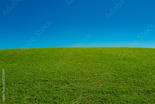 Landscape of green grass field. Blue sky and clouds background. Green grass field on landscape background. Landscape of countryside. Wide green field. Green meadows or grass field.