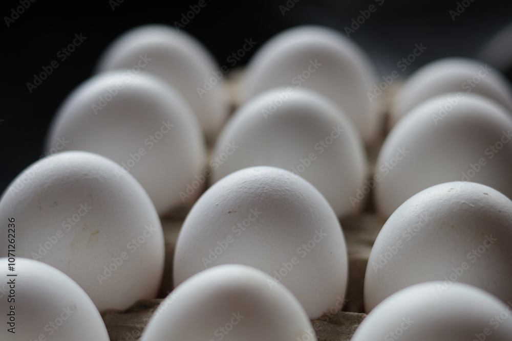 Una toma de cerca de varios huevos fresco de gallina para comer colocado en un cartón Una toma de cerca de varios huevos fresco de gallina para comer colocado en un cartón