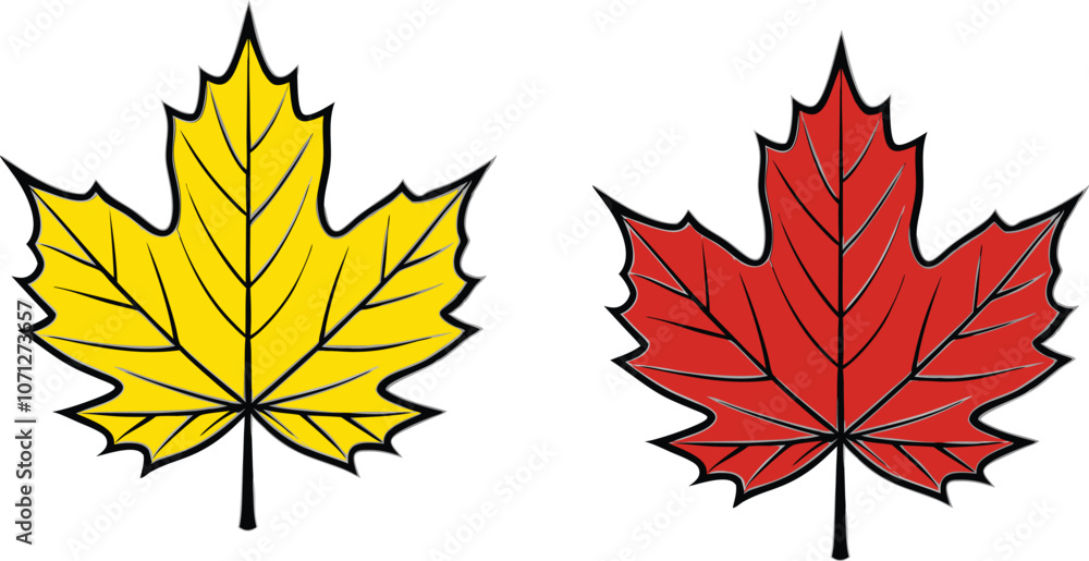 Set of maple leaves icons isolated on white background. Bright autumn red maple leaf, black silhouette and outline. Vector illustration. Set of maple leaves icons isolated on white background. Bright autumn red maple leaf, black silhouette and outline. Vector illustration.
