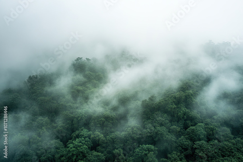 Aerial drone forest survey photograph, top down bird's eye view, woodland trees background, surveying landscape trees