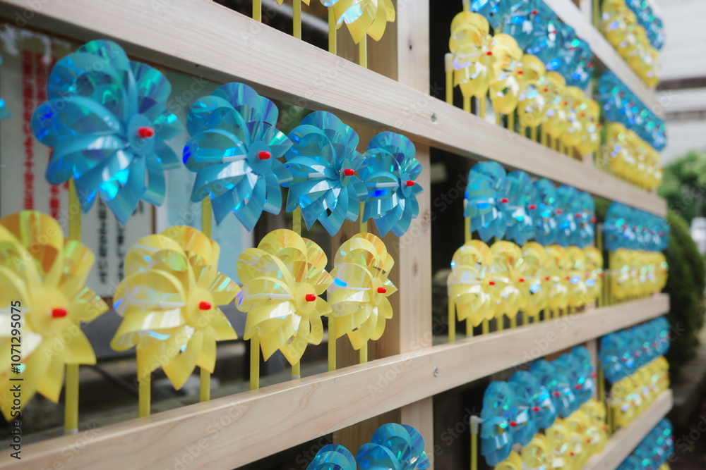 Fototapeta premium Pinwheel