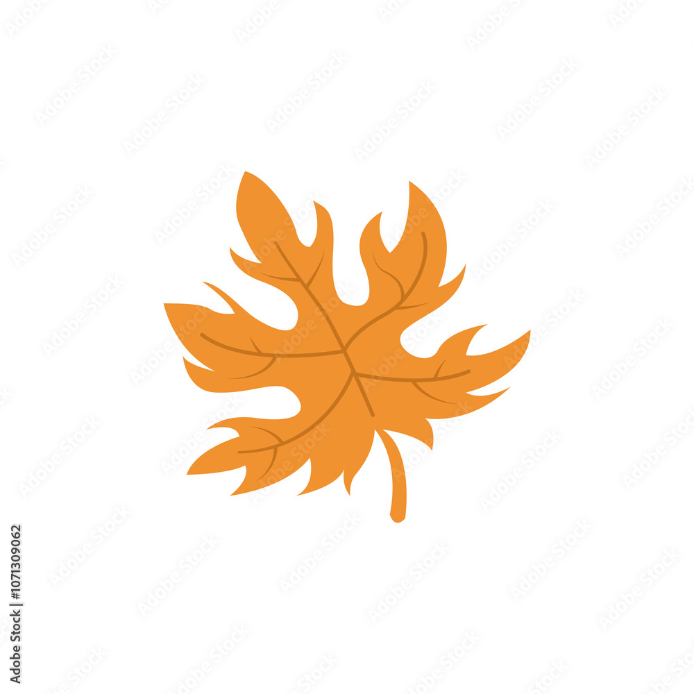 Maple leaf vector isolated. Maple leaf icon on white background. Icon for web design, apps, sticker, banner, poster, printing usage and part of logo. Thanksgiving concept. Maple leaf vector isolated. Maple leaf icon on white background. Icon for web design, apps, sticker, banner, poster, printing usage and part of logo. Thanksgiving concept.