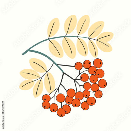 Rowan Branch Vector illustration (1)