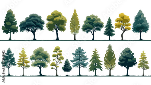 Minimal style cad tree line drawing, Side view, set of graphics trees elements outline symbol for architecture and landscape design drawing. Vector illustration in stroke fill in white. Tropical