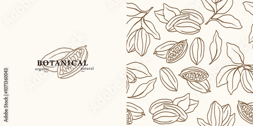 Line art cacao background. Hand drawn cocoa beans logo