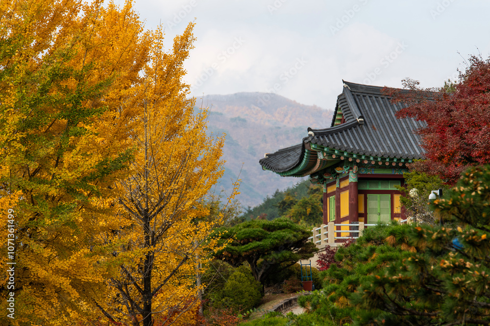 autumn trees and traditional Korean building in the Buddhist temple autumn trees and traditional Korean building in the Buddhist temple