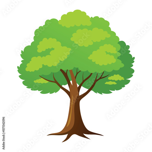 beech tree vector illustration with white background
