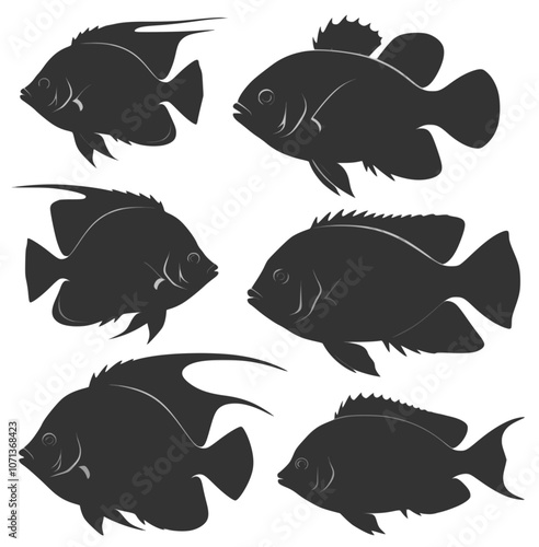 Tropical fish silhouettes on transparent background. Vector image of tropical fish. Multilayer SVG file without gaps between paths.