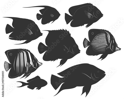 Tropical fish silhouettes on transparent background. Vector image of tropical fish. Multilayer SVG file without gaps between paths.