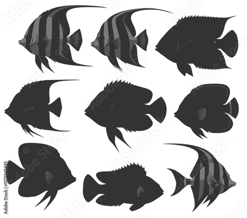 Tropical fish silhouettes on transparent background. Vector image of tropical fish. Multilayer SVG file without gaps between paths.